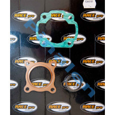 BT 2-takt Packningsset / Sotningssats