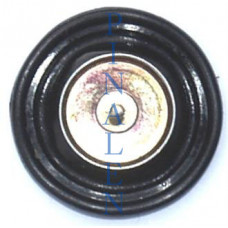 17. ACV Membran