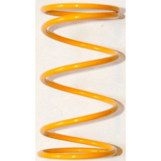 22. Gul sportfjäder