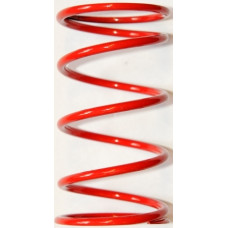 22. Röd sportfjäder